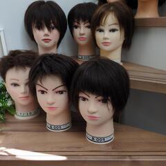 カットマネキンの画像