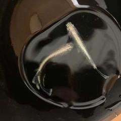 高級メダカ　エメキン1ペアの画像