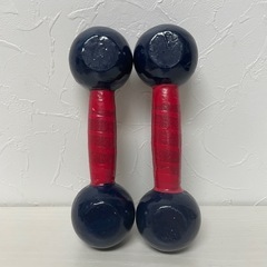 f●■ダンベル/鉄アレイ【２㎏×2個セット】　 筋トレ トレーニング【未使用品】の画像