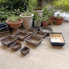 園芸に関わるもの　その１の画像