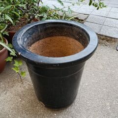 園芸に関わるもの　その１の画像