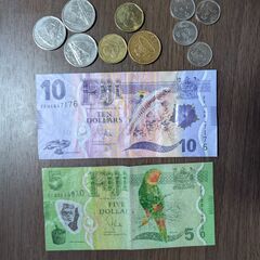 フィジードル　約20ドル