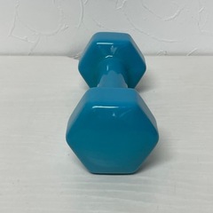 HATASハタス・ダンベル/リードアレー3kg×１個 ラバーコーティング鉄アレイの画像