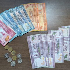 スリランカルピー　約4600ルピー