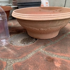 プラスチック鉢3点まとめの画像