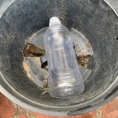 プラスチック鉢3点まとめ小の画像