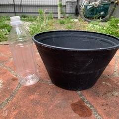 プラスチック鉢3点まとめ小の画像