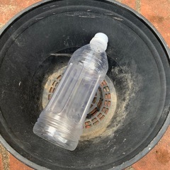 プラスチック鉢3点まとめ小の画像