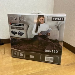 電気毛布(ダブルサイズ)の画像