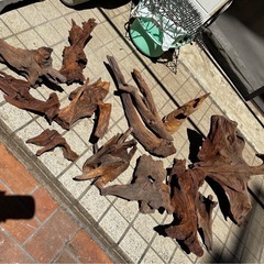 熱帯魚水槽用流木の画像