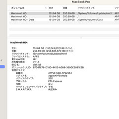 MacbookPro 250GB(SSD) 8GBメモリーの画像