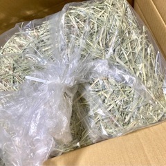 【牧草9kg】スーパープレミアム ホースグレード チモシー 〔うさぎ・モルモット多頭飼いにも〕の画像