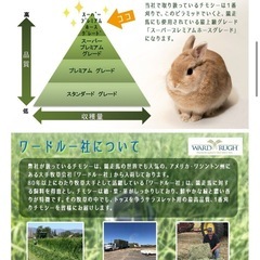 【牧草9kg】スーパープレミアム ホースグレード チモシー 〔うさぎ・モルモット多頭飼いにも〕の画像