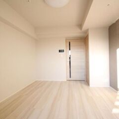 【ペット可★特集】ＪＲ常磐線/金町駅 歩10分　築浅1Kマ…