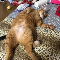 楽しんでますか