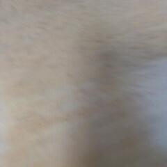 サマーニット  ワールドの画像