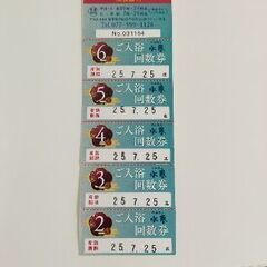 【使用期限7/25】守山湯元水春　入浴回数券【7/13までの募集です】
