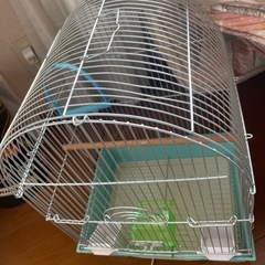 鳥籠の画像