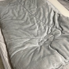 ニトリ 毛布の画像