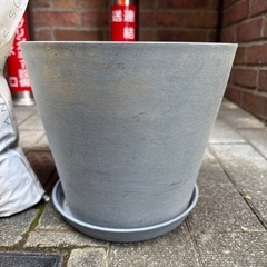 ecopots Mサイズ 土 鉢底石セットの画像