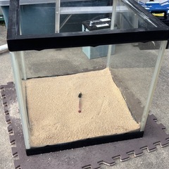 45センチキューブ水槽