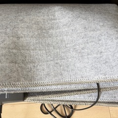 ニトリ　電気ホットカーペットの画像