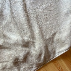 ベージュラグ　じゅうたん　300×193センチ　直接渡し可能 使用したことにより厚さの違いあります。 埼玉県でしたら直接渡しも場所によっては可能です。の画像