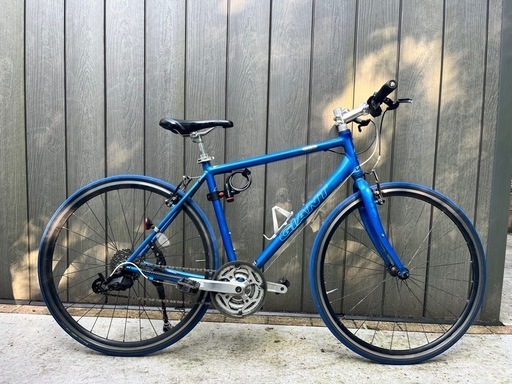 GAIANT エスケープ　ジャンク