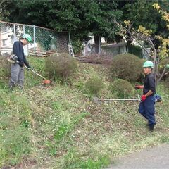 建築現場の解体・土木・造園・雑工経験者大歓迎！日給1万1000円以上！日払い可能！夜勤あり！の画像