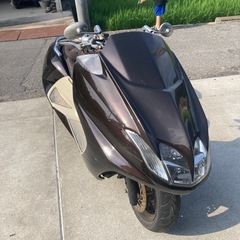 マグザムの画像