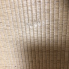 畳　　2枚　　　7/30まで無料の画像