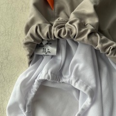 子供 水着セットの画像