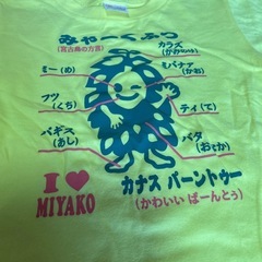 　未使用　宮古島Tシャツ　130センチの画像