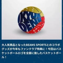 琉球ゴールデンキングス　ファンクラブ特典BEAMSコラボバスケットボールの画像