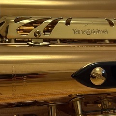 アルトサックス　ヤナギサワ　A-902　ハードケース・付属品付き　ALTO SAX YANAGISAWAの画像