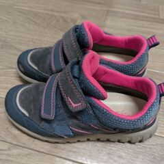 スーパーフィット EUR30 の画像