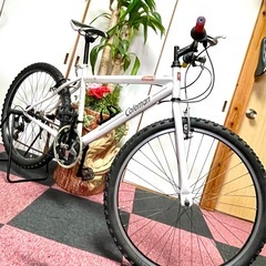 沖縄県のMTBの中古が安い！激安で譲ります・無料であげます
