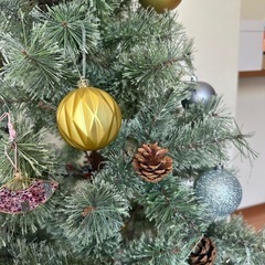 クリスマスツリーの画像
