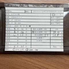 【成虫】 ダイスケギラファ 100mm オス単の画像
