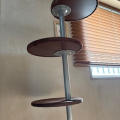 キャットタワーの画像