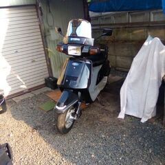 商談中　ヤマハシグナス125V50 値引不可　原付と交換可能連絡をの画像