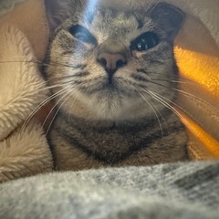 テピ(女の子)  − 沖縄県