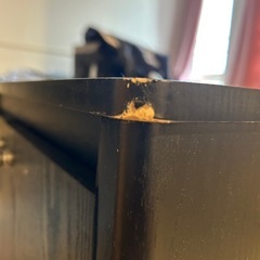 水槽の棚の画像