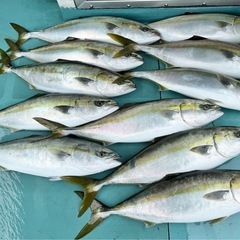 0.1㌧〜デブ釣り仲間