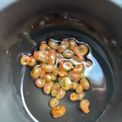 メダカ用、レッドラムズホーン🐚