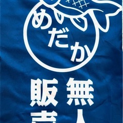 7/6(日)綾瀬市めだか無人販売