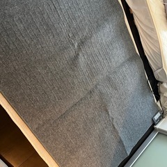 ホットカーペット＋カーペットの画像