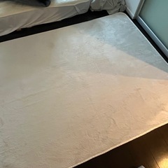 ホットカーペット＋カーペットの画像