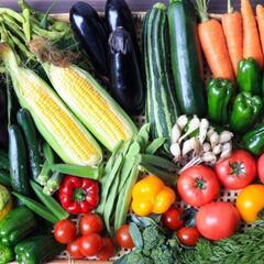 農家さん！　　　　　　　　　　　　　　形が悪くて出荷出来ない夏野菜！宇品フリマで出店しませんか？　　　　　　　　　　　　広島うじなみなとフリーマーケットの画像