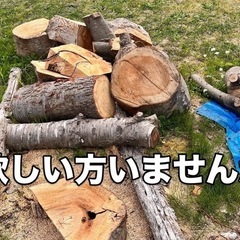 引取先決定　丸太薪用